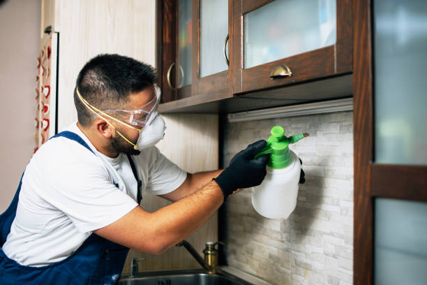 Best Wasp Removal Services  in Kirbyville, TX