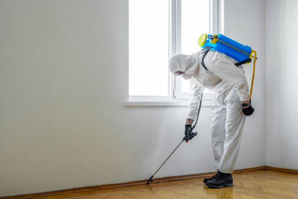 Pest Control for Restaurants in Kirbyville, TX